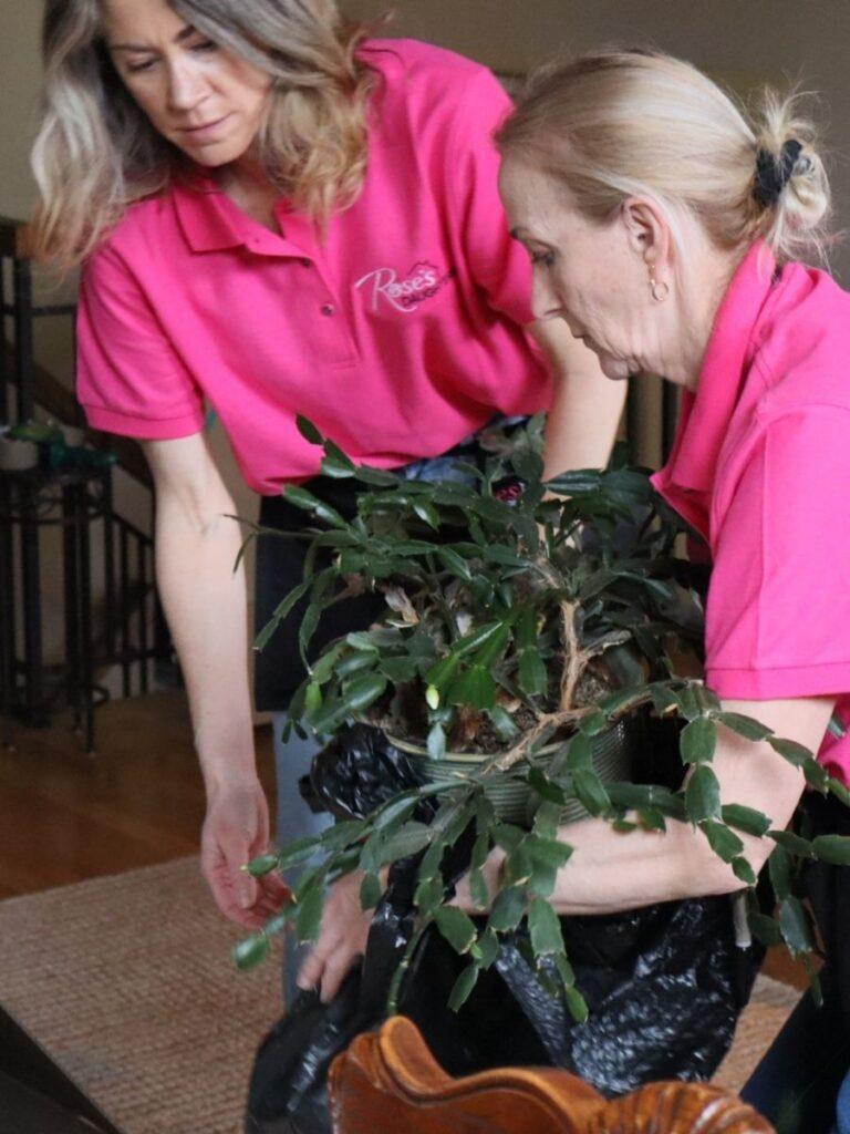 Rose's Daughters sorting and donation support