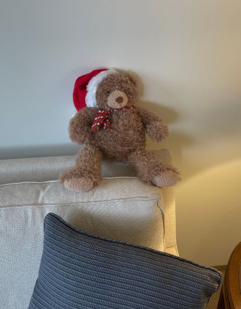 Cute teddy bear sitting on couch