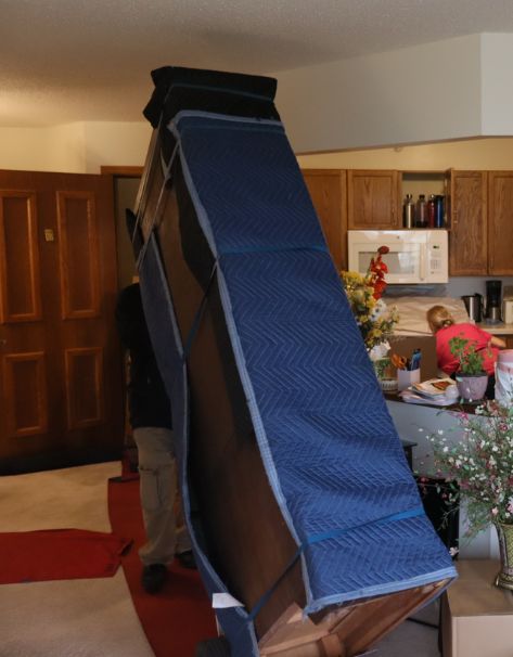 Professional moving services banner 1 (2)